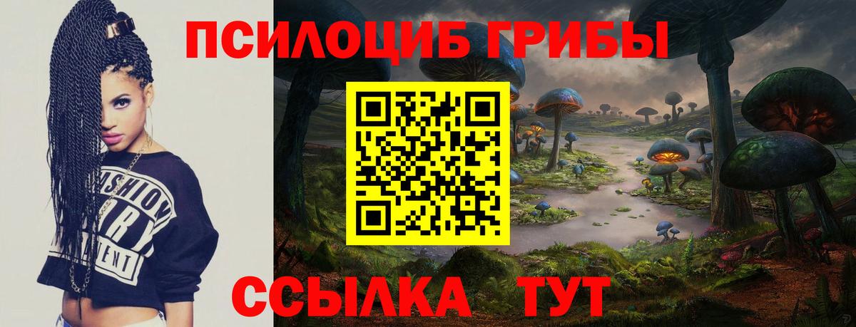 Галлюциногенные грибы Psilocybe Аксай
