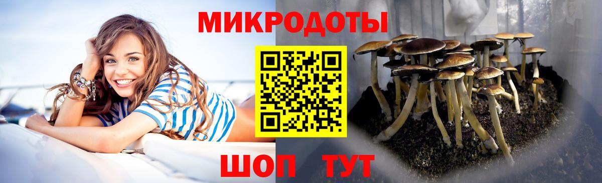 Псилоцибиновые грибы MAGIC MUSHROOMS  Вход с VPN  Аксай 
